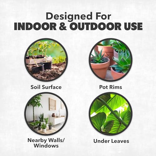 NatureStop Spray Insecticida para Moscas de Hongos, Tratamiento Rápido para Suelo y Plantas de Interior, 16 oz (475 mL) - imagen 5