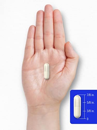 Carlyle DL-Fenilalanina | 1000mg | 180 Cápsulas | Suplemento Libre de OGM y Gluten | Fórmula en Forma Libre de DLPA - imagen 7