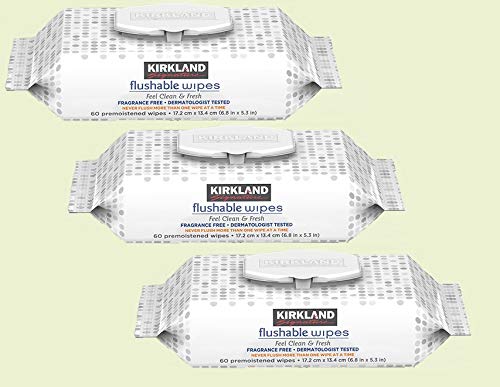 Toallitas Humedecidas Desechables Kirkland Signature, 180 Toallitas (Paquete de 3) - imagen 1