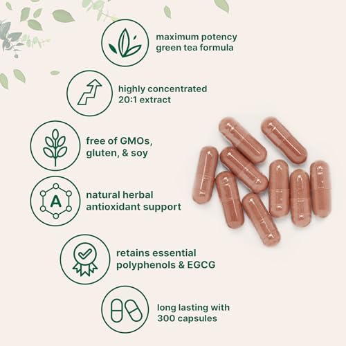 Micro Ingredients Extracto de Té Verde Extra Fuerte, 300 Cápsulas | Suministro para 5 Meses | Suplemento Antioxidante de Polifenoles para Piel, - imagen 3