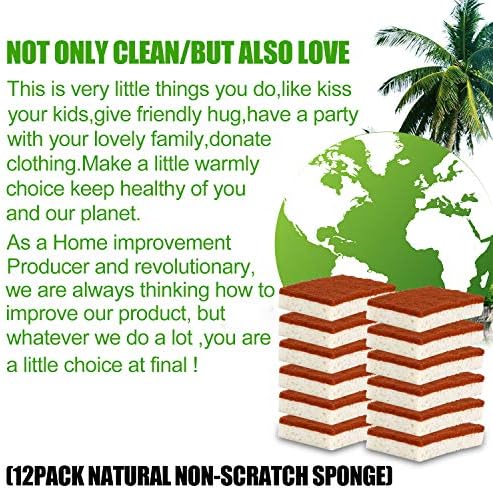 Esponjas de Limpieza Naturales a Base de Plantas, Paquete de 12, Esponjas de Palma Biodegradables y Compostables, Duraderas y Sin Olor para Lavado de - imagen 6
