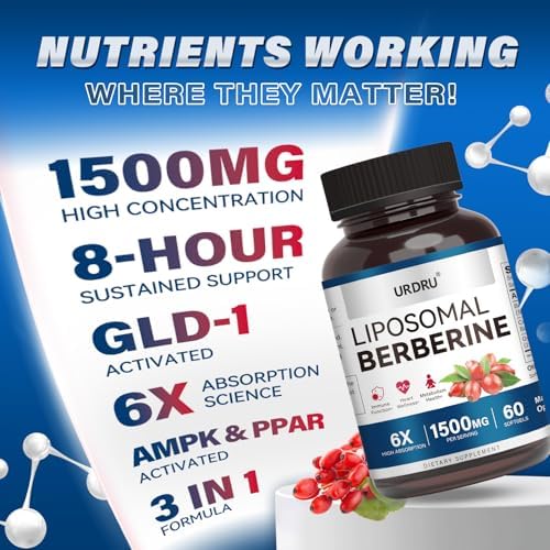 Suplemento Liposomal de Berberina URDRU 1500mg 3 en 1 - con Canela de Ceilán y Gymnema, Cápsulas de Berberina de Alta Biodisponibilidad para Hombres - imagen 3