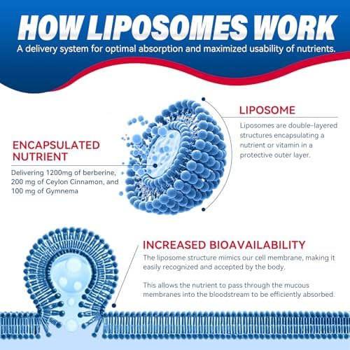 Suplemento Liposomal de Berberina URDRU 1500mg 3 en 1 - con Canela de Ceilán y Gymnema, Cápsulas de Berberina de Alta Biodisponibilidad para Hombres - imagen 4