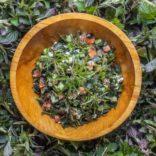 Semilla de Ortiga Natural (Urtica dioica) - 250g de Calidad Premium - imagen 7
