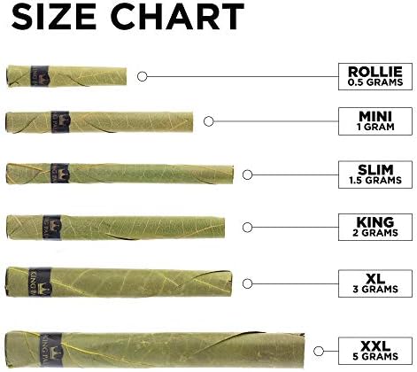 Conos Orgánicos King Palms Rollie Tamaño Negro 25 Piezas (Paquete de 1) - imagen 2