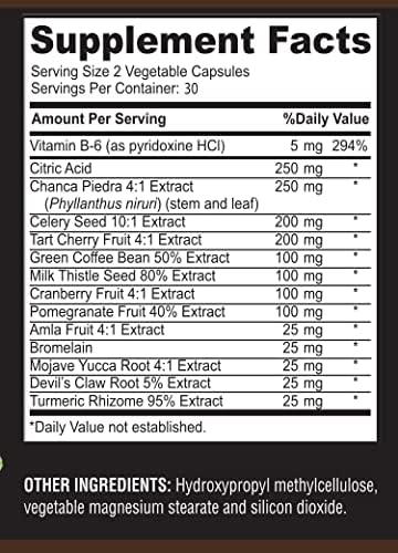 YUMMYVITE Fórmula Avanzada de Ácido Úrico – Limpieza de Riñones, Hígado, Vesícula Biliar y Tracto Urinario con Arándano, Chanca Piedra, Cereza Ácida, - imagen 7