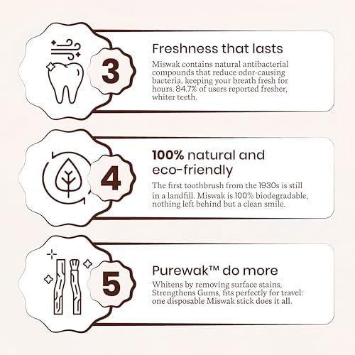 Palitos de Miswak PUREWAK, 100% Naturales, Blanquea y Refresca el Aliento, Suministro para 3 Meses, 1 Paquete con 12 Palitos y Soporte. - imagen 4