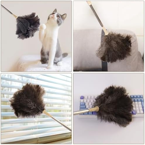 Duster de Plumas de Avestruz Aldwin con Extensión de Hasta 43 Pulgadas, Limpiador Reutilizable y Lavable para Oficina, Auto y Persianas - imagen 6