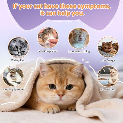 L-Lisina para Gatos, 500 Galletas de Apoyo Inmunológico, Suplemento con Colostro y Omega-3, Alivio para Estornudos y Nariz Congestionada, Sabor a - imagen 5
