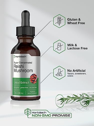 Extracto de Hongo Reishi Horbäach | 2 Fl Oz | Gotas Líquidas | Ganoderma Lucidum | Vegetariano, Sin Alcohol | Suplemento Sin OGM y Sin Gluten - imagen 4