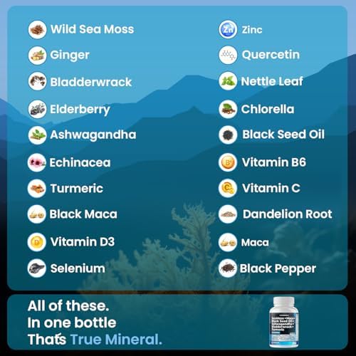 Aceite de Semilla de Negro de Musgo Marino, Maca, Ashwagandha, Bladderwrack y Cúrcuma - Miel de Manuka, Saúco, Vitamina C y D3, Diente de León y - imagen 3
