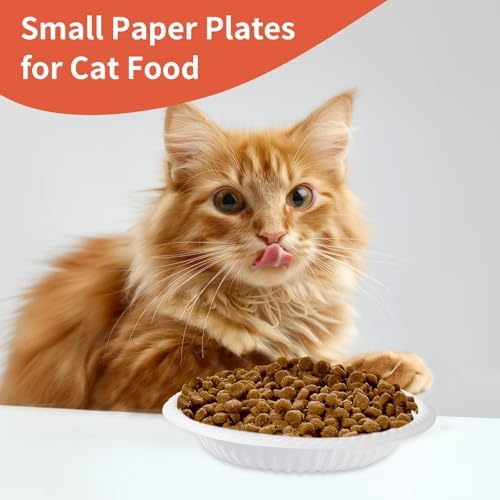 Platos Desechables Mini de 4 Pulgadas - 100 Contenidos, Platos de Papel Redondos para Postres, Aperitivos y Manualidades - imagen 4