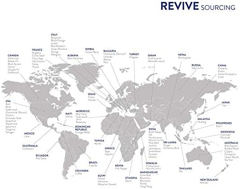 Aceite Esencial de Eucalipto 30mL de Revive Essential Oils - 100% Puro, Grado Terapéutico, Ideal para Difusor, Humidificador, Masaje, Aromaterapia y - imagen 7
