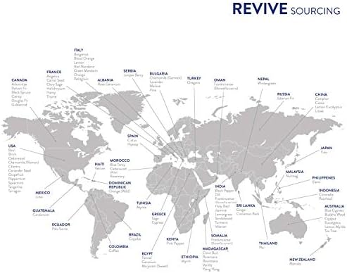 Mezcla de Aceites Esenciales Calm de REVIVEEO - 100% Puro, Grado Terapéutico para Difusor, Humidificador, Masaje, Aromaterapia, Cuidado de Piel y - imagen 5