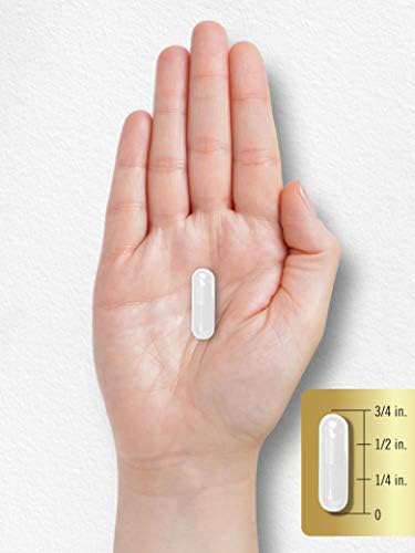 Cápsulas de Glutamina Carlyle L | 1500mg | 240 Contenido | Fórmula Avanzada para Atletas | Suplemento Sin OGM y Libre de Gluten - imagen 7