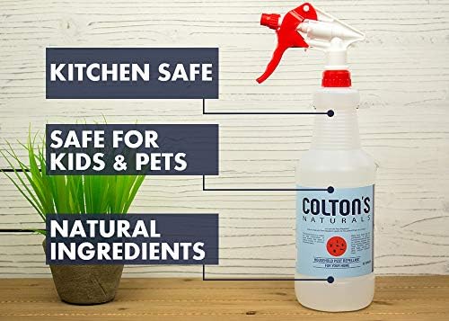Spray Repelente de Roedores de Aceite de Menta - Grande 32 Onzas - Previene Nidos de Ratones - 100% Natural y Ecológico - imagen 5