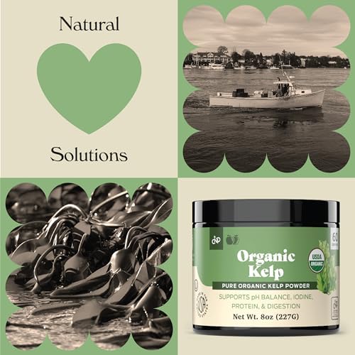 Suplemento de Polvo de Kelp Orgánico - Kelp Marino Seco y Puro en Granel 8oz, 75 Porciones para Tiroides, Yodo y Digestión - imagen 4