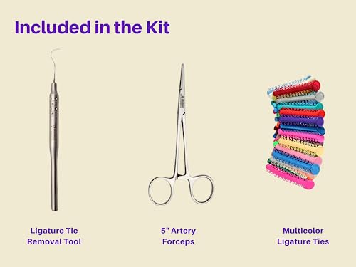 KIT DE CAMBIO DE COLOR PARA BRACKETS ARTMAN INSTRUMENTS, Ligas Ortodónticas para Cambiar el Color de Tus Braces en Minutos - imagen 3