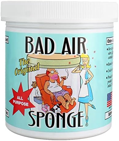 Bad Air Sponge 14 oz - Eliminador de Olores para Ambientes - imagen 1