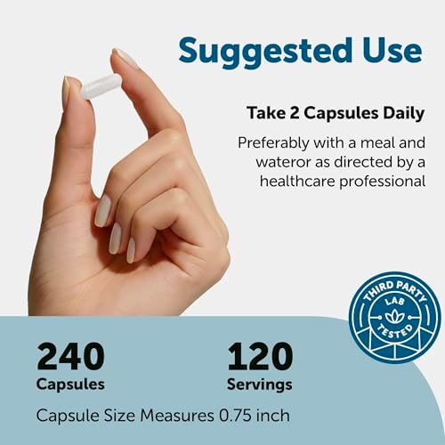Micro Ingredients DHEA 50 mg por porción, 240 cápsulas | Suplemento de DHEA micronizado para hombres y mujeres | Sin OGM, sin gluten, sin soya - imagen 3