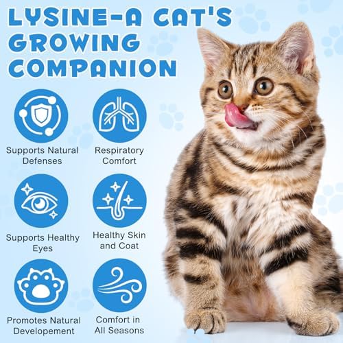 Suplemento de L-lisina para Gatos, Gotas Líquidas de L-Lisina para Apoyo Inmunológico, Respiración Felina, Estornudos, Nariz Moqueante, Sabor a Pollo - imagen 4