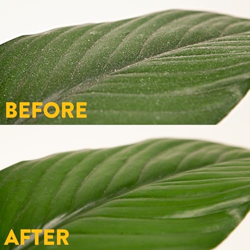 Toallitas Naturales para Plantas de Interior Naturalings – 100 Toallitas Limpiadoras de Hojas con Menta Natural, Elimina el Polvo y Restaura el - imagen 3
