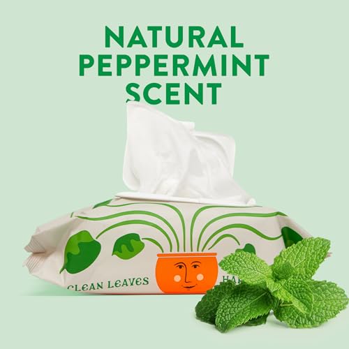 Toallitas Naturales para Plantas de Interior Naturalings – 100 Toallitas Limpiadoras de Hojas con Menta Natural, Elimina el Polvo y Restaura el - imagen 8