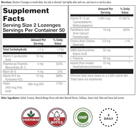 KAL GABA L-Theanine Caramelos para Estrés, Suplemento de Vitamina B Compleja, Relajación Saludable, Sabor Natural Mango Mandarina, Vegano, 100 - imagen 2