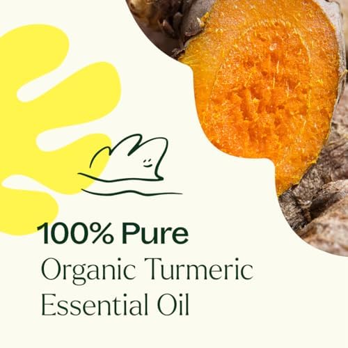 Aceite Esencial de Cúrcuma CO2 Orgánico Certificado USDA Plant Therapy 10 mL (1/3 oz) 100% Puro, Sin Diluir, Apoya la Digestión Saludable - imagen 5