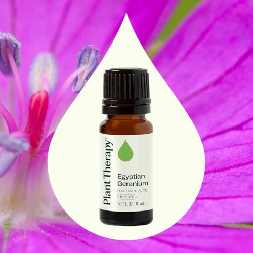 Aceite Esencial de Geranio Egipcio Plant Therapy 10 mL (1/3 oz), 100% Puro, Sin Diluir, Aromaterapia Natural, Alivio del Estrés, Equilibrio Emocional - imagen 3