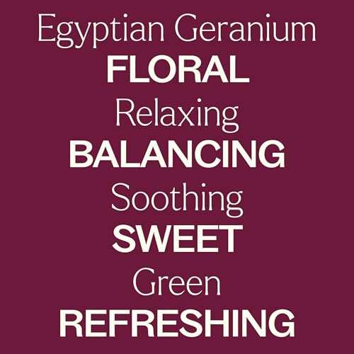 Aceite Esencial de Geranio Egipcio Plant Therapy 10 mL (1/3 oz), 100% Puro, Sin Diluir, Aromaterapia Natural, Alivio del Estrés, Equilibrio Emocional - imagen 4