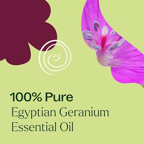 Aceite Esencial de Geranio Egipcio Plant Therapy 10 mL (1/3 oz), 100% Puro, Sin Diluir, Aromaterapia Natural, Alivio del Estrés, Equilibrio Emocional - imagen 5