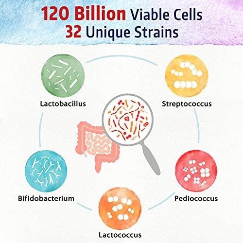 Bonawell Probióticos 120 Mil Millones CFU, 32 Cepas con Prebióticos y Enzimas Digestivas, Probiótico Diario 3 en 1, 30 Cápsulas Veganas - imagen 6