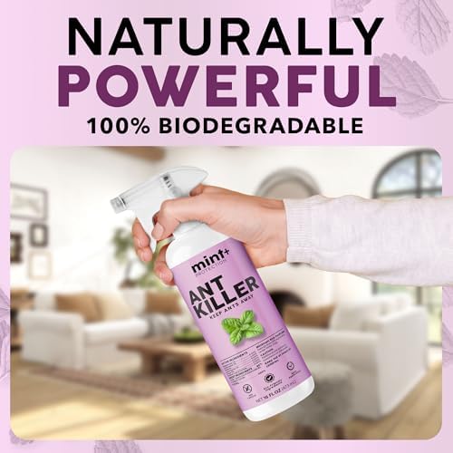 Spray Ant Killer Mint+ para uso interior y exterior, 16 oz (475 mL) - imagen 3