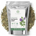 Hoja de Alfalfa Orgánica 4 oz. (113g), Té de Hierba Suelta Orgánico Certificado USDA, Medicago Sativa, Cortada y Tamizada - imagen 1