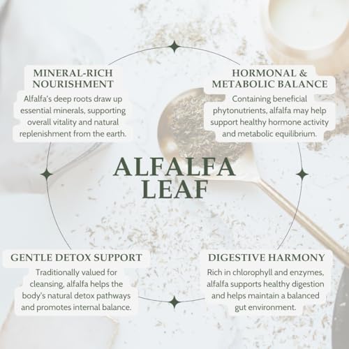 Hoja de Alfalfa Orgánica 4 oz. (113g), Té de Hierba Suelta Orgánico Certificado USDA, Medicago Sativa, Cortada y Tamizada - imagen 3