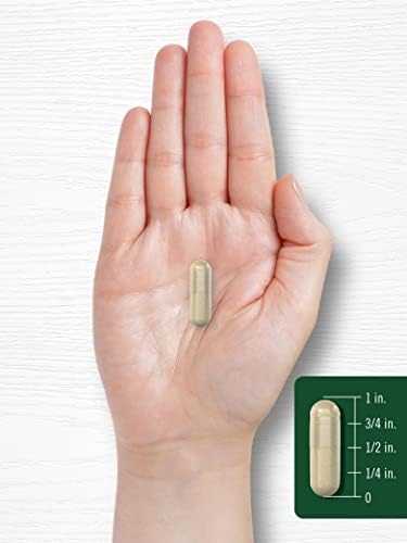 Suplemento Carlyle Sage | 180 Cápsulas | Alta Potencia | Sin OGM, Sin Gluten - imagen 7