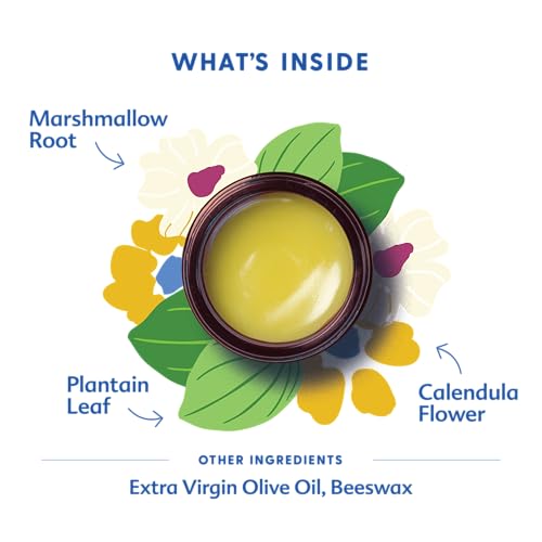 Ungüento Motherlove Green Salve (1 oz) Orgánico para Aventura Familiar al Aire Libre - Alivia la Piel - imagen 3