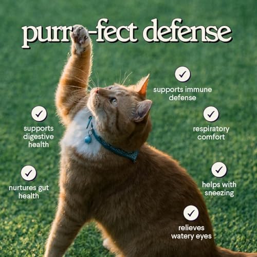 Suplemento Premium de L-Lisina para Gatos – Apoyo Inmunológico, Estornudos, Nariz Moquienta, Ojos Llorosos y Salud Nasal – 60ML de Lisina para - imagen 6
