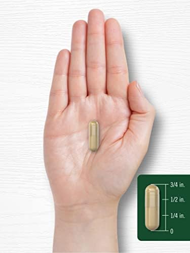 Suplemento de Espárrago Carlyle | 250 Cápsulas en Polvo | Fórmula Sin OGM y Sin Gluten | Extracto de Hierbas Tradicional de Alta Potencia - imagen 7