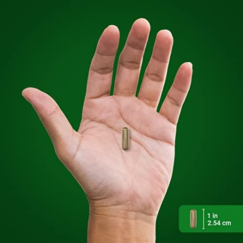 Suplemento de Pygeum Piping Rock | 200 Cápsulas | Extra Fuerte | Para Hombres y Mujeres | Extracto de Corteza de Pygeum Africanum | Sin OGM, Sin - imagen 6
