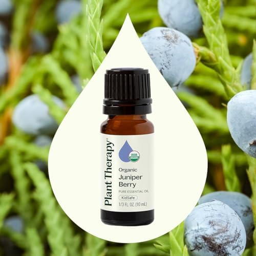 Aceite Esencial de Bayas de Enebro Orgánico Plant Therapy 100% Puro, Sin Diluir, Aromaterapia Natural, Grado Terapéutico 10 mL (1/3 oz) - imagen 3