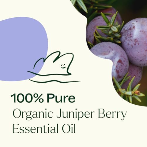 Aceite Esencial de Bayas de Enebro Orgánico Plant Therapy 100% Puro, Sin Diluir, Aromaterapia Natural, Grado Terapéutico 10 mL (1/3 oz) - imagen 5