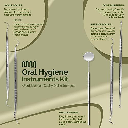 Kit de Herramientas Dentales para Limpieza de Dientes (6 Piezas) – Set de Cuidado Oral de Acero Inoxidable con Removedor de Placa, Escalador, Espejo - imagen 3