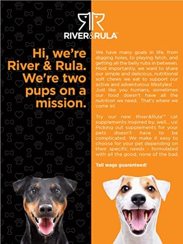 Horbäach L-Lisina en Polvo para Gatos | 500mg | 12oz | Suplemento Vegetariano, Sin OGM y Libre de Gluten | por River & RULA - imagen 6