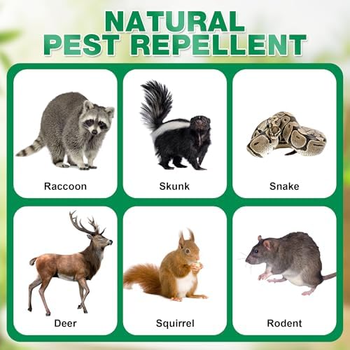 Paquete de 16 Bolsitas Repelentes de Zorrillos, Aceite Esencial de Menta Natural, Seguro para Mascotas y Familia, Listo para Usar en Jardín, Patio y - imagen 5