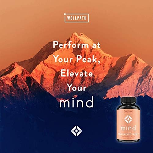 Suplemento WellPath Mind para la Memoria y Concentración con Melena de León | Ginkgo Biloba y L-Theanina para Soporte Cognitivo a Largo Plazo | - imagen 5