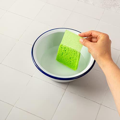 Set de Cepillos de Cocina ARYA | 4 Cepillos de Madera y 1 Cabezal de Repuesto | Bambú y Fibras Naturales | Alternativa Ecológica a Esponjas y - imagen 8