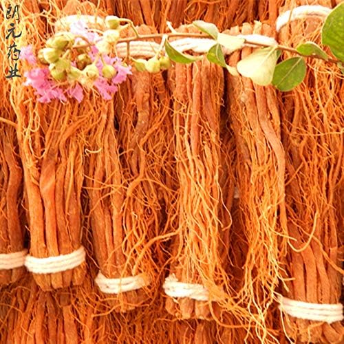 Raíces de Ginseng Rojo Coreano Zhanyunmaoyi ZYCSLOVMJGHD - Piezas de Raíz Entera - Ginseng Panax Rojo 100g - imagen 2