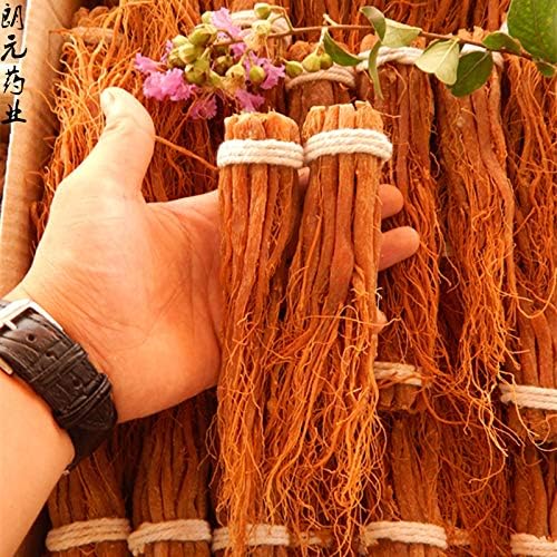 Raíces de Ginseng Rojo Coreano Zhanyunmaoyi ZYCSLOVMJGHD - Piezas de Raíz Entera - Ginseng Panax Rojo 100g - imagen 3